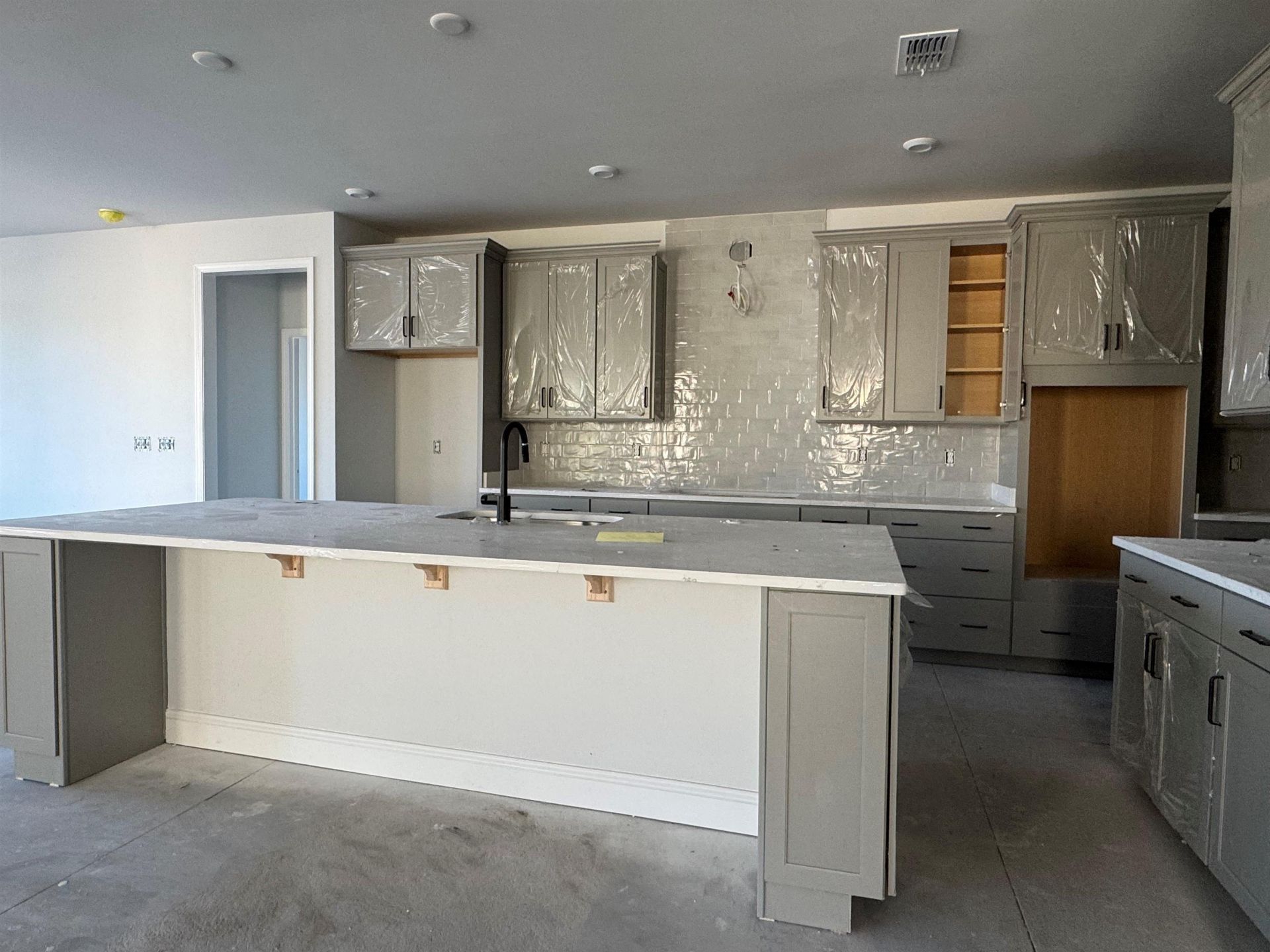 1505 Crested Iris Way Photo 4