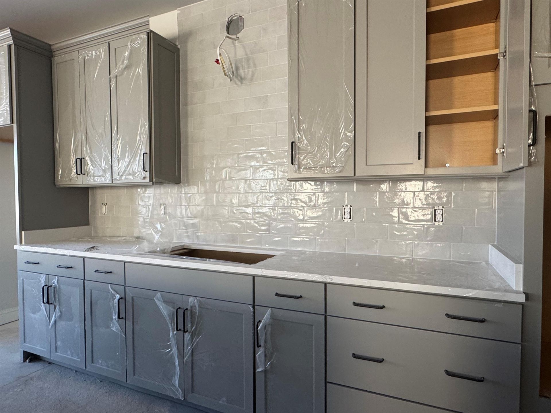 1505 Crested Iris Way Photo 6