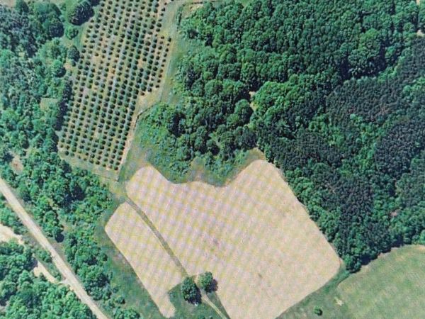 1330 Eden Hill Road, Beulah, MI 49617