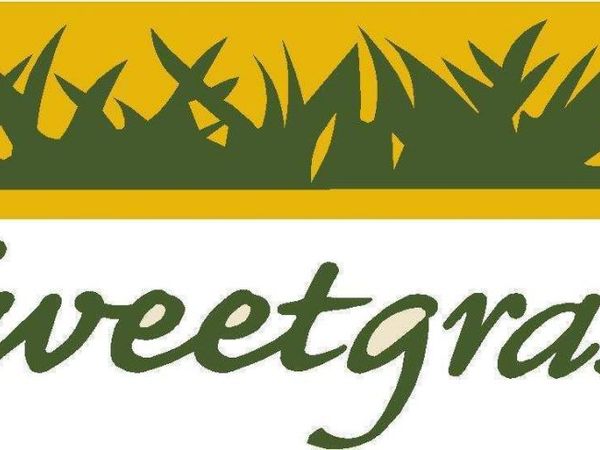 394 Sweetgrass Drive, Demorest, GA 30535