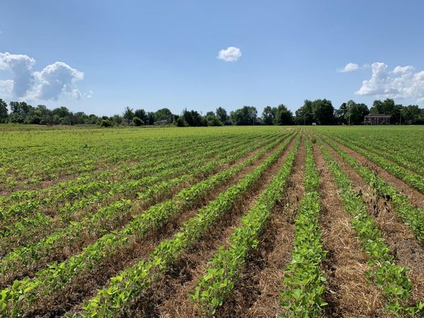 00 Gibraltar Road, Flat Rock, MI 48134