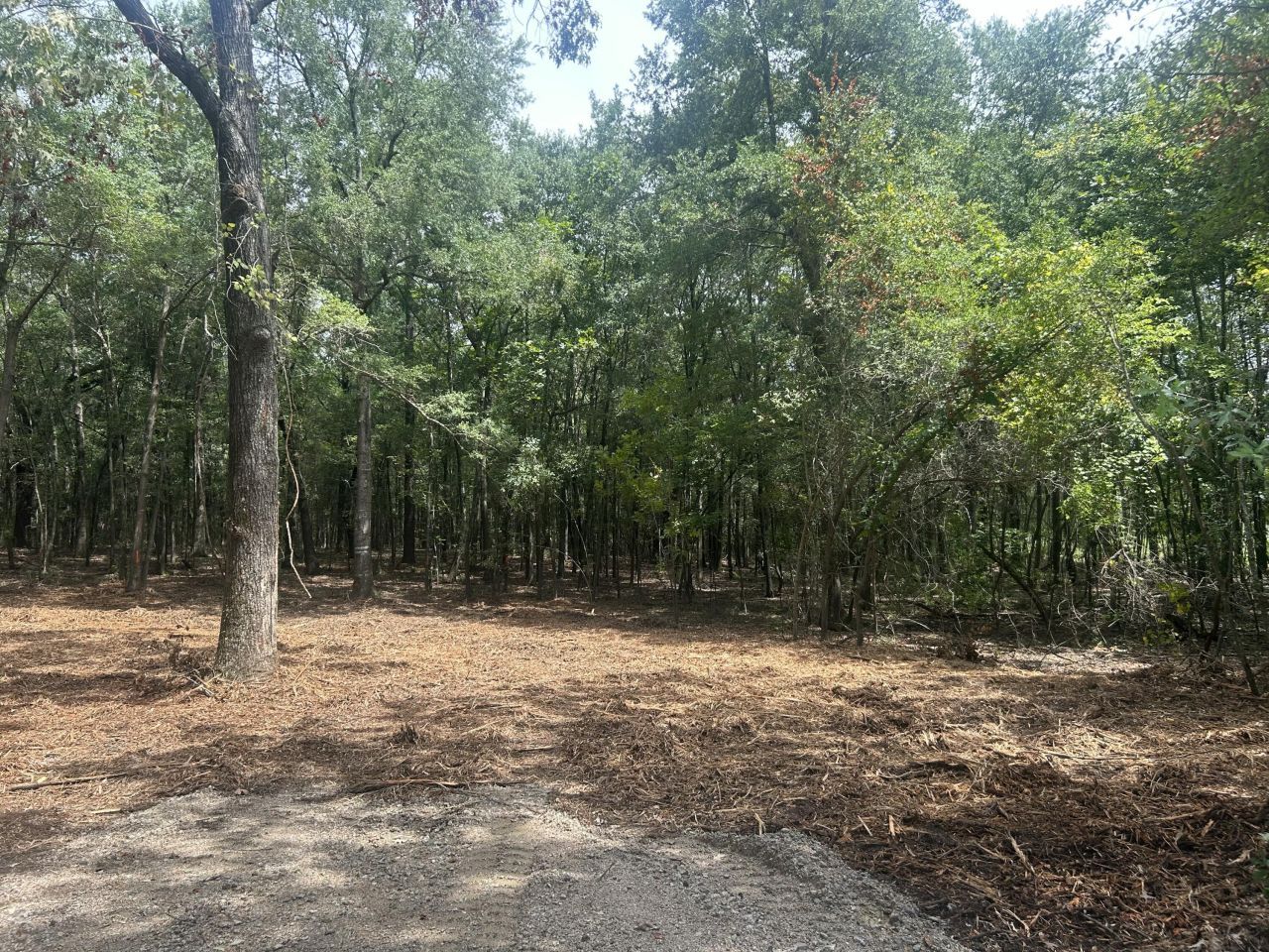 8 Francis Marion Blvd Photo 10