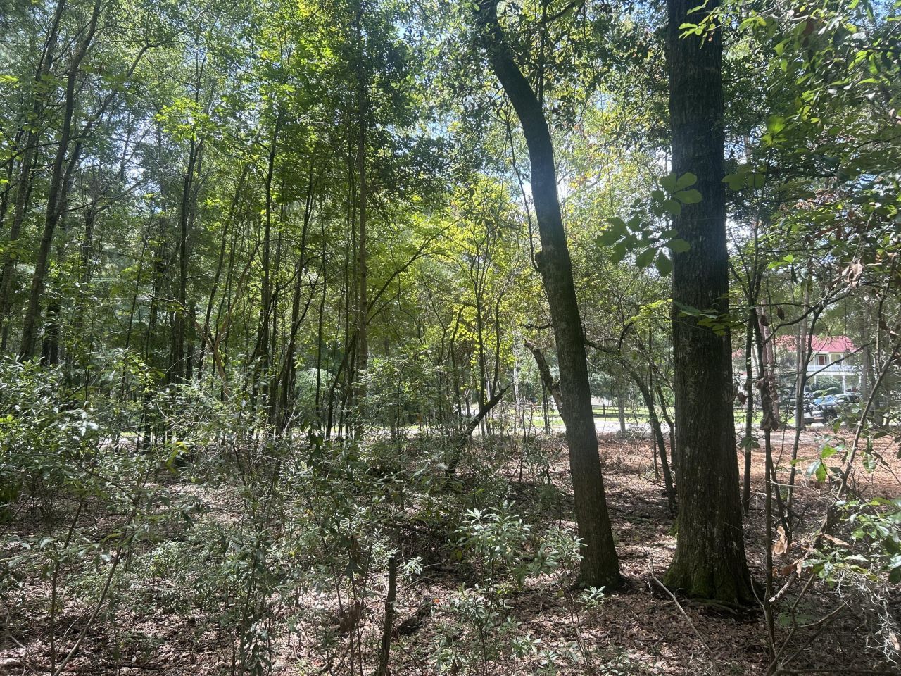 8 Francis Marion Blvd Photo 16