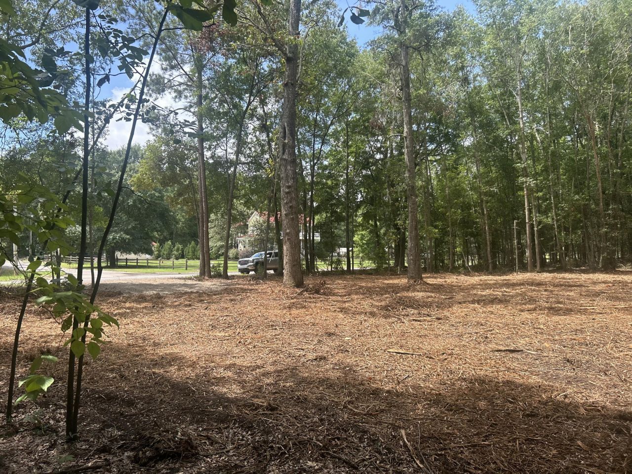 8 Francis Marion Blvd Photo 17