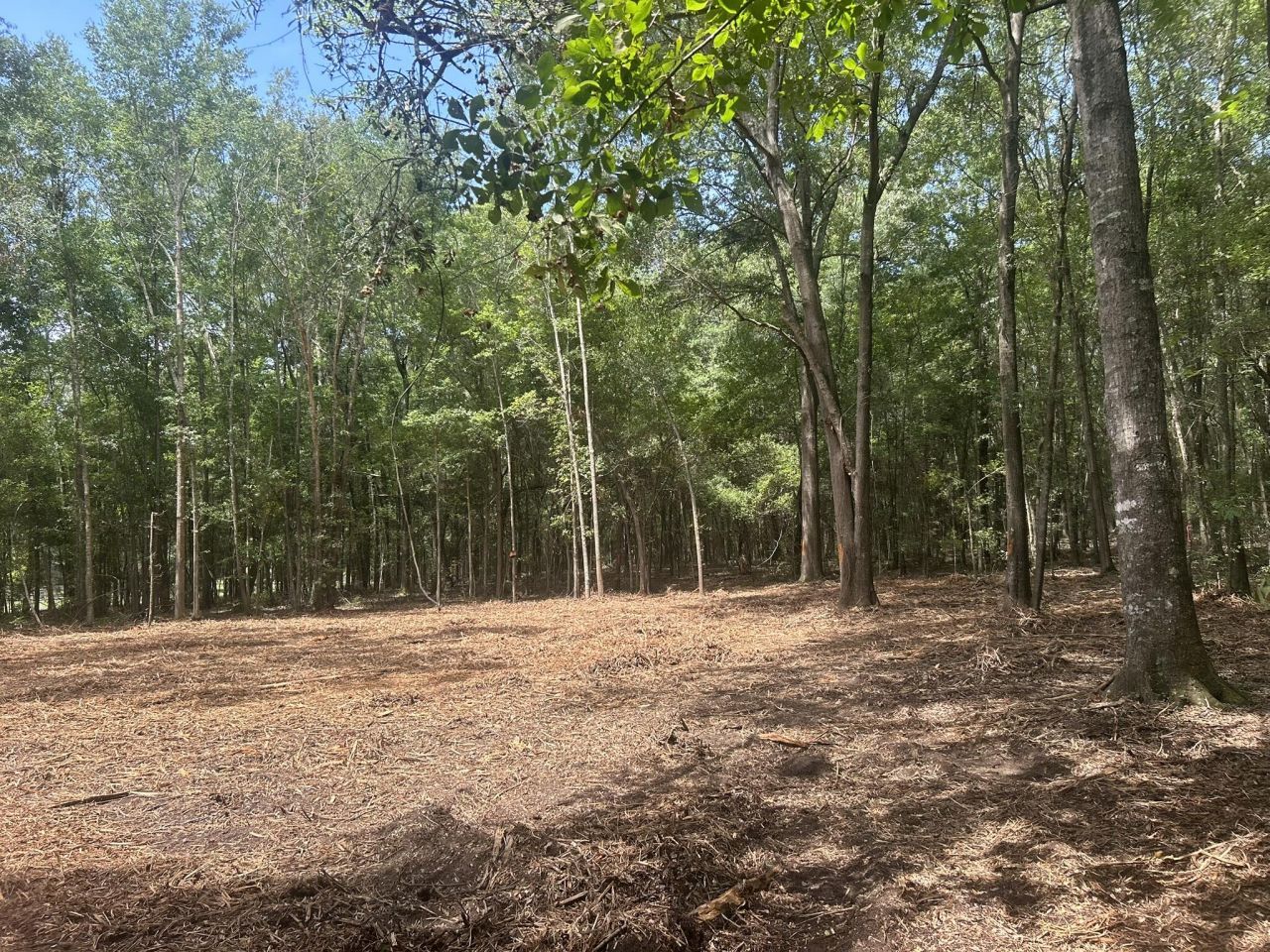 8 Francis Marion Blvd Photo 18