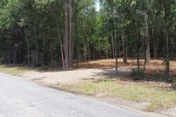 8 Francis Marion Blvd photo 4