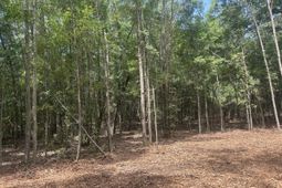 8 Francis Marion Blvd photo 4