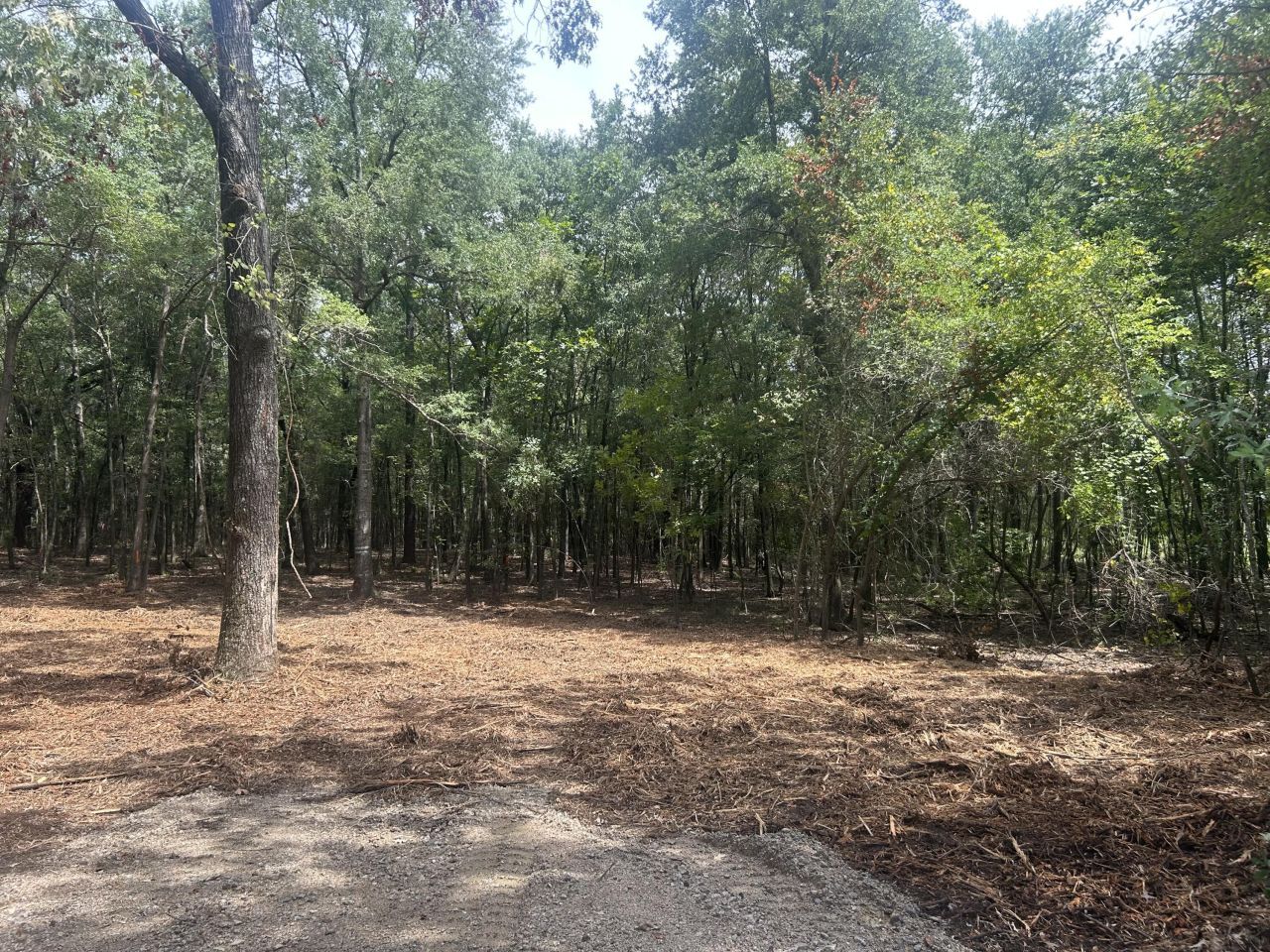 8 Francis Marion Blvd Photo 5