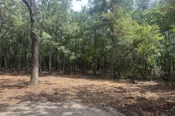 8 Francis Marion Blvd photo 4