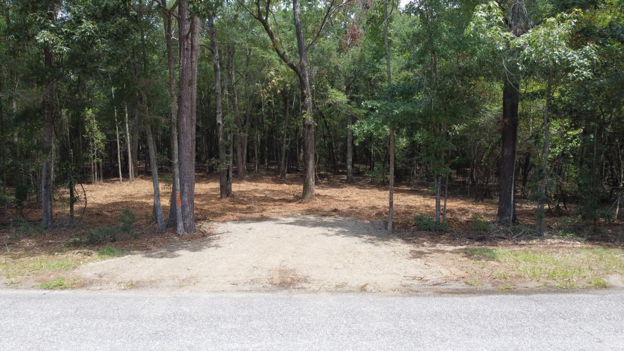 8 Francis Marion Blvd Photo 6