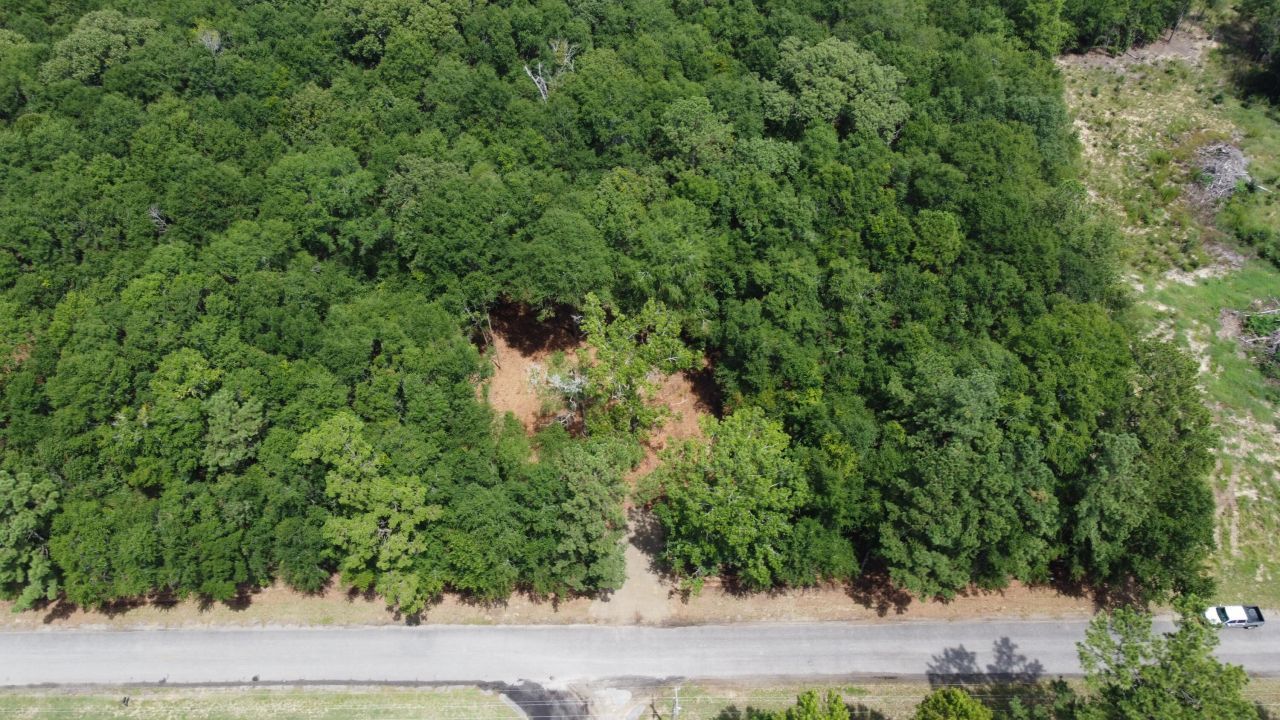 8 Francis Marion Blvd Photo 7