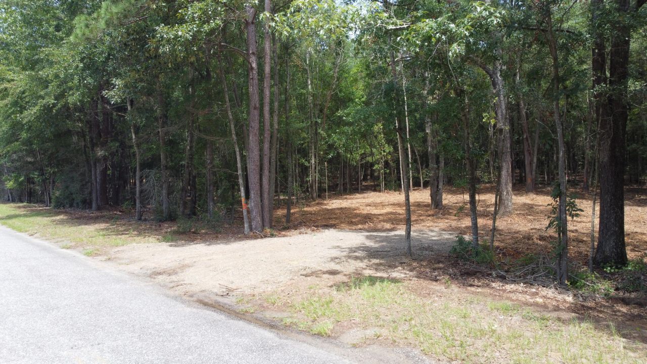 8 Francis Marion Blvd Photo 8