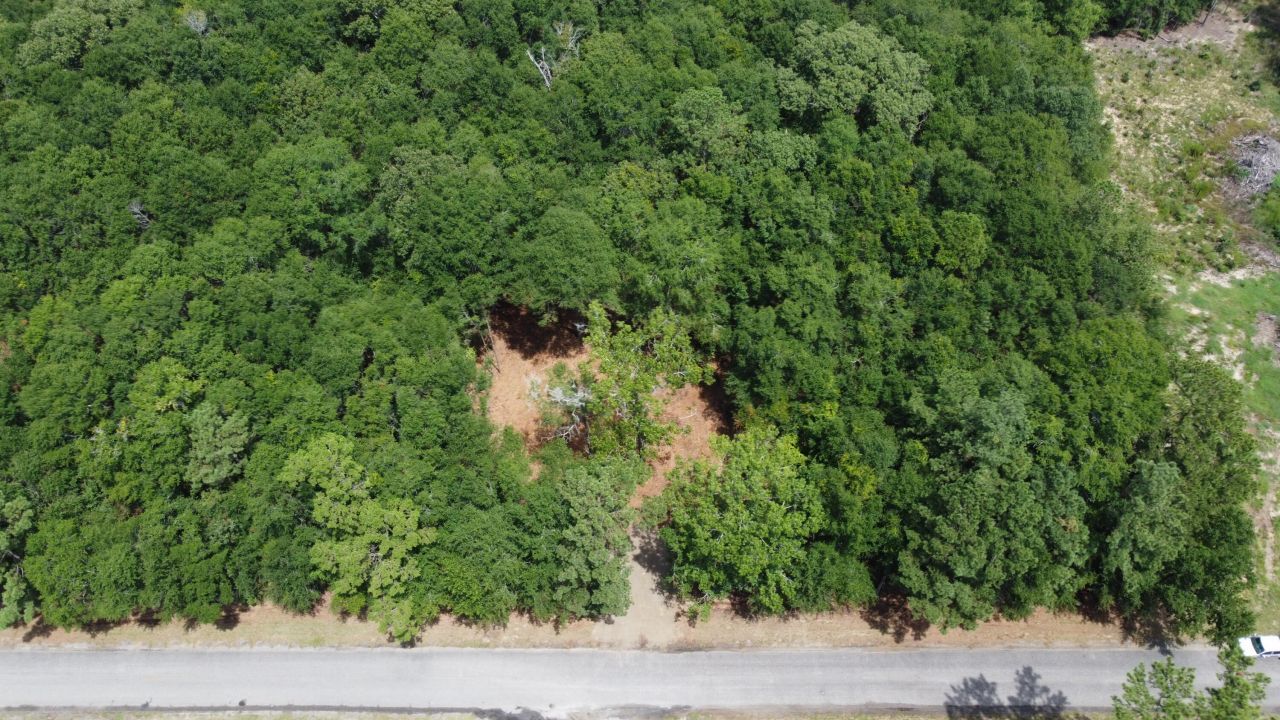 8 Francis Marion Blvd Photo 9