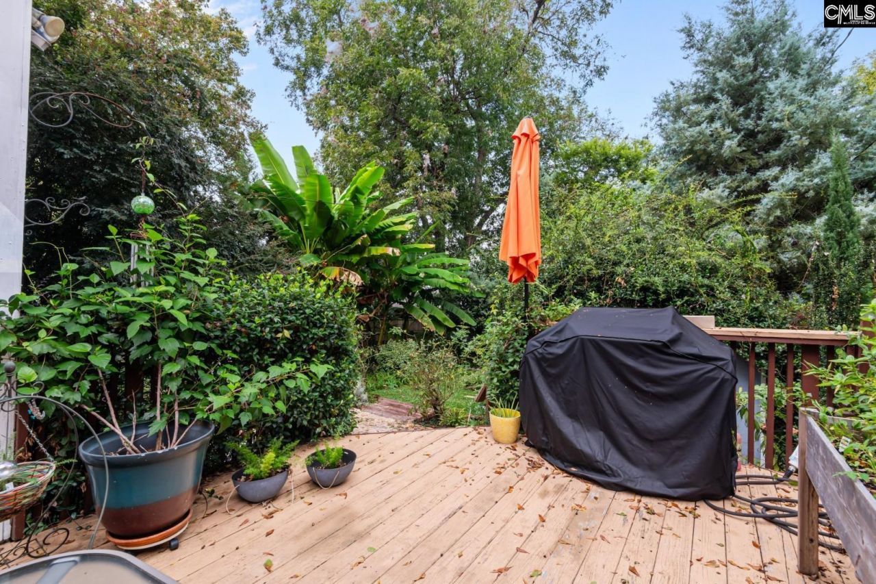 915 Chester Street Photo 12