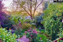 915 Chester Street photo 4