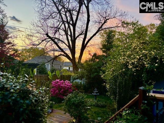 915 Chester Street Photo 45