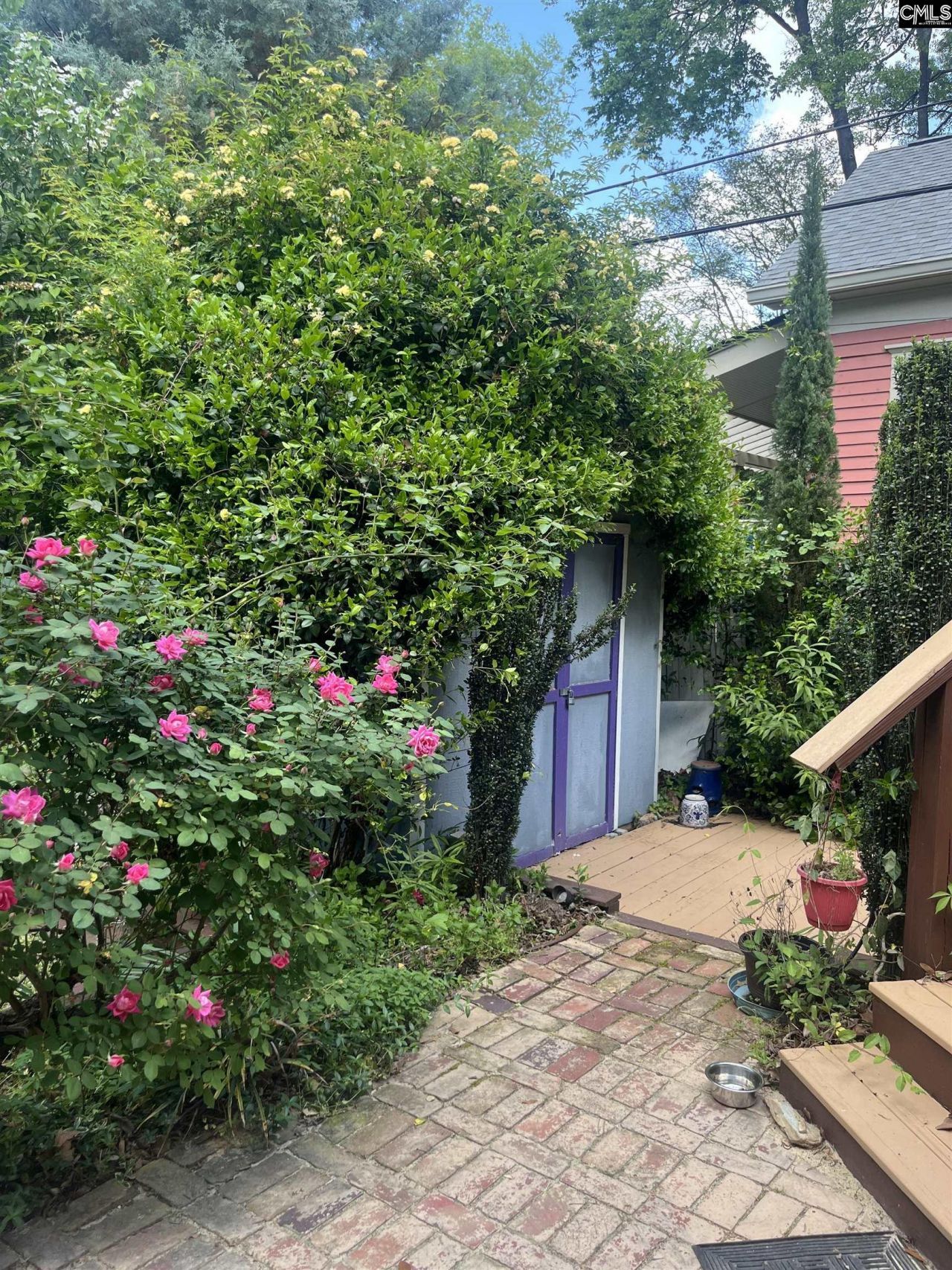 915 Chester Street Photo 48