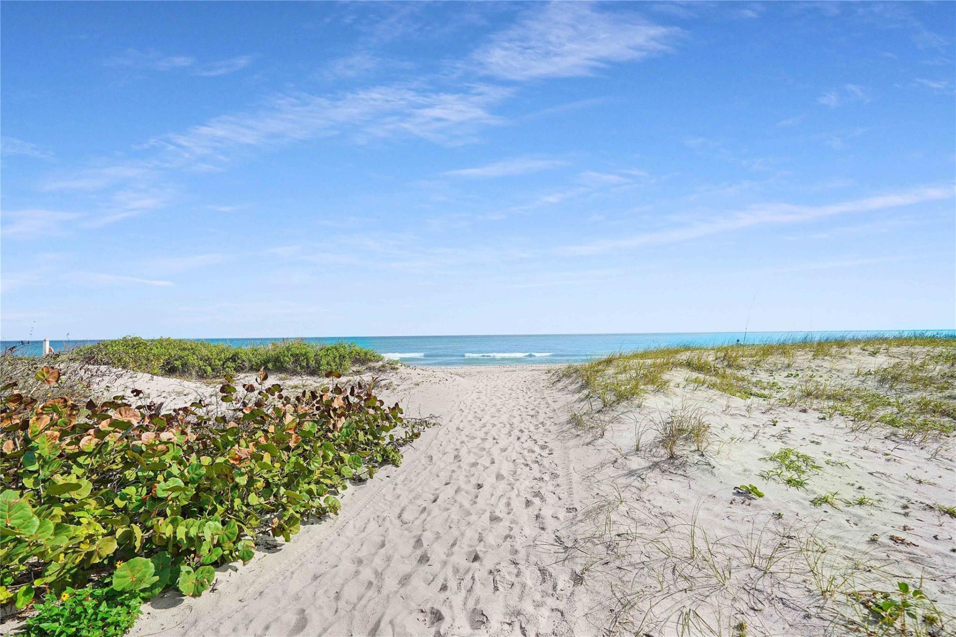 2000 S Ocean Boulevard, Unit 16P, Lauderdale by the Sea, FL 33062 Photo