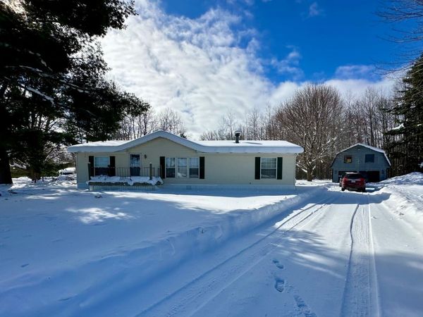 3131 S 164th Avenue, Hesperia, MI 49421