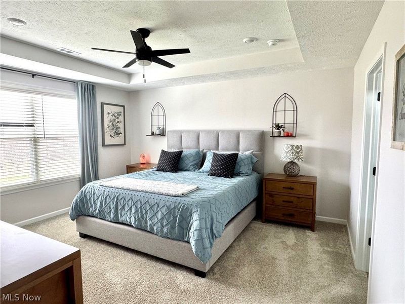 1411 Tullamore Trail, Wadsworth, OH 44281 Photo 19