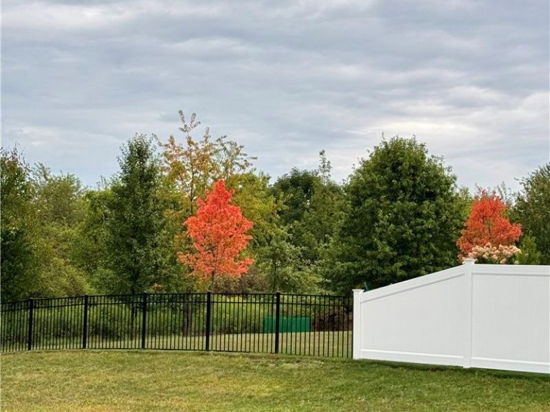 1411 Tullamore Trail, Wadsworth, OH 44281 Photo 29