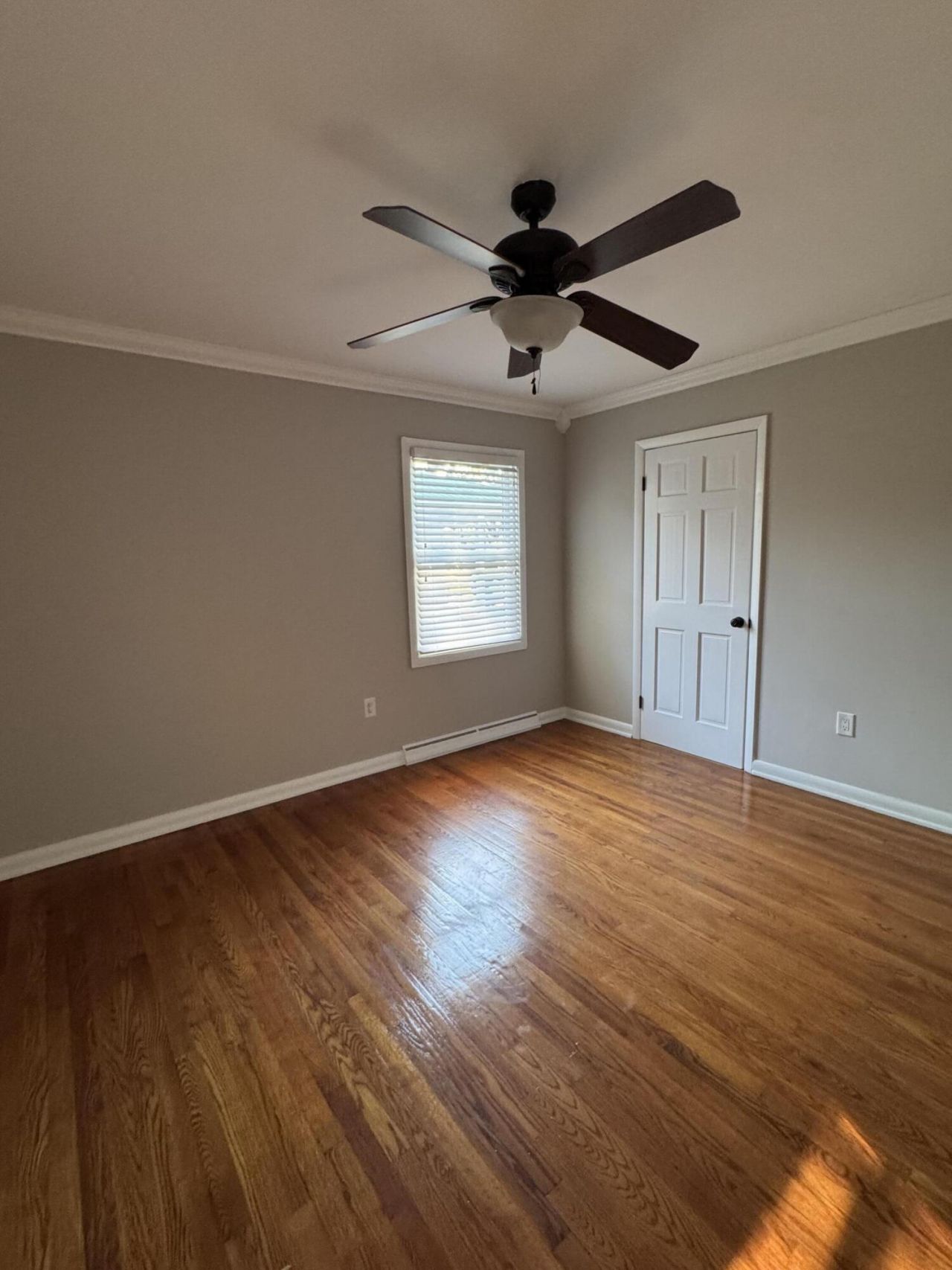 1907 Aichele Drive Photo 32