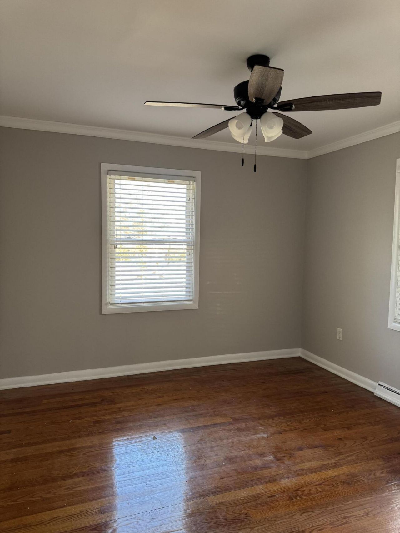 1907 Aichele Drive Photo 33