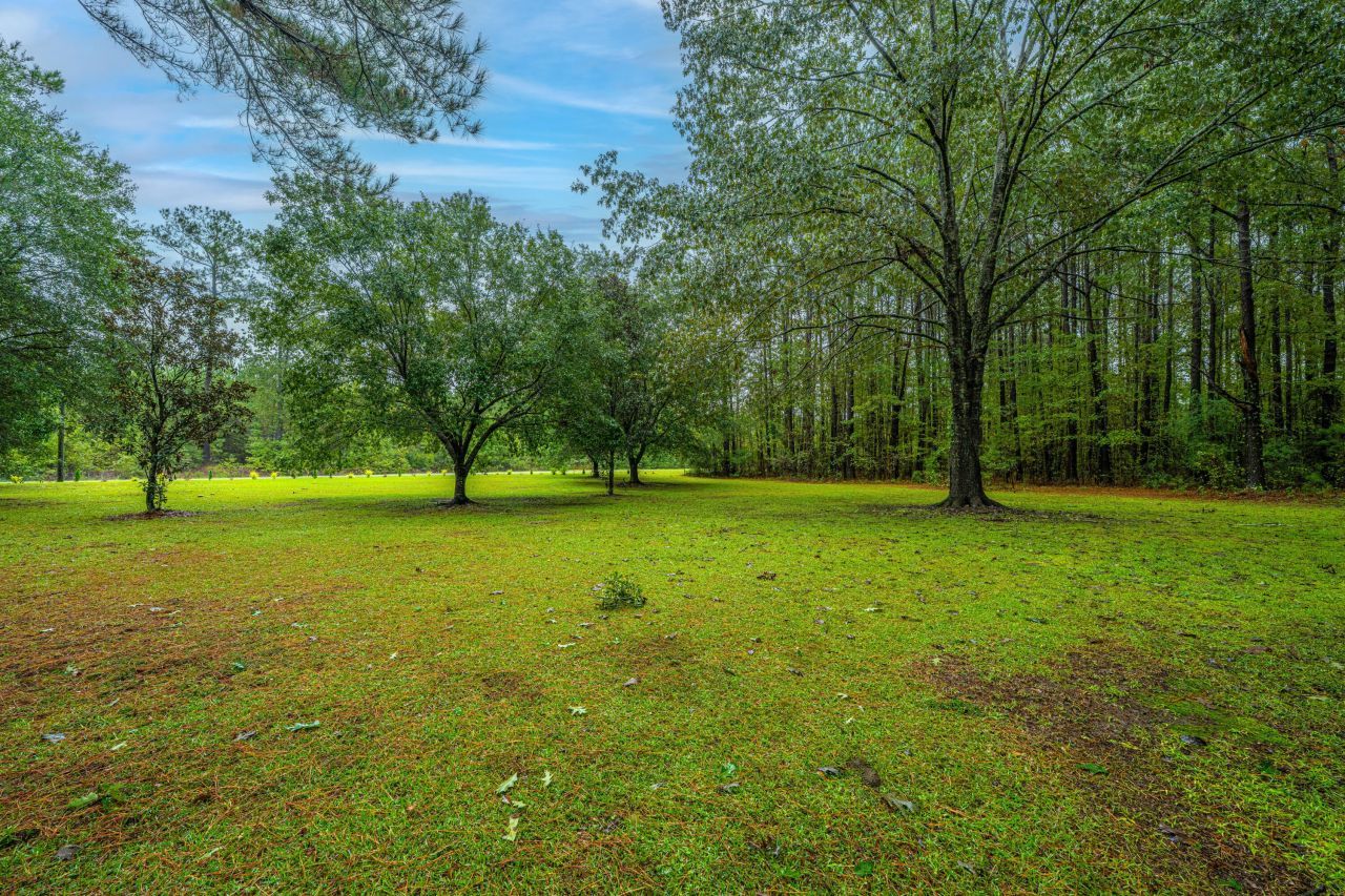 1155 Highway 61 Photo 66