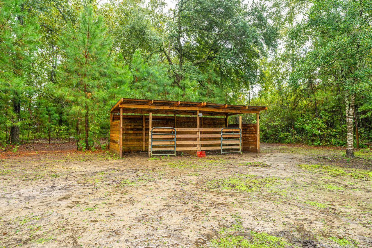 1155 Highway 61 Photo 69
