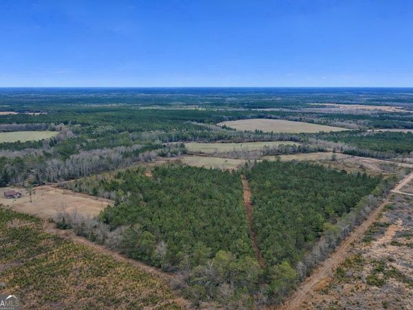 TRACT 4 Reddish Road, Odum, GA 31555