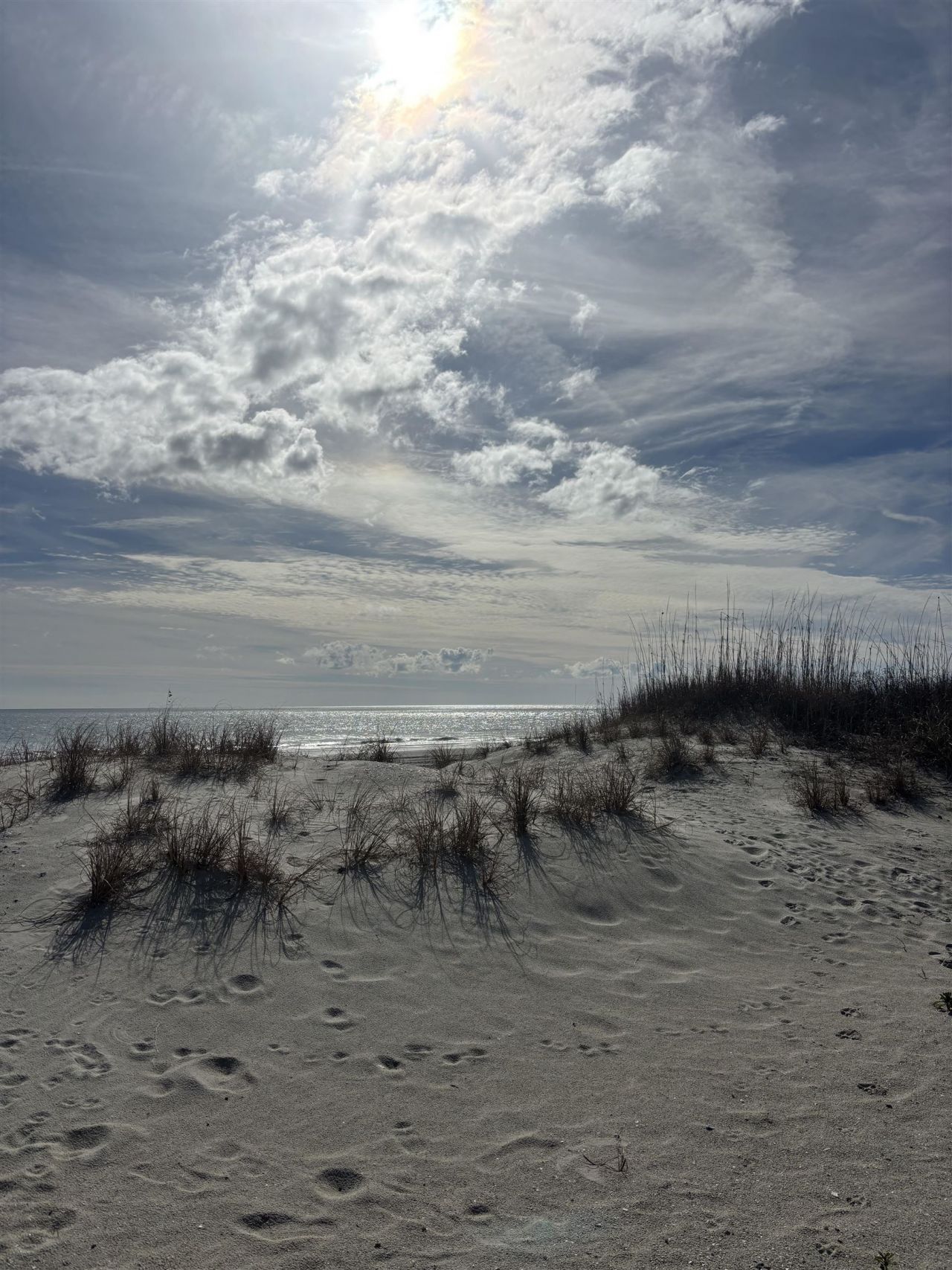 501 South Ocean Blvd. Photo 39