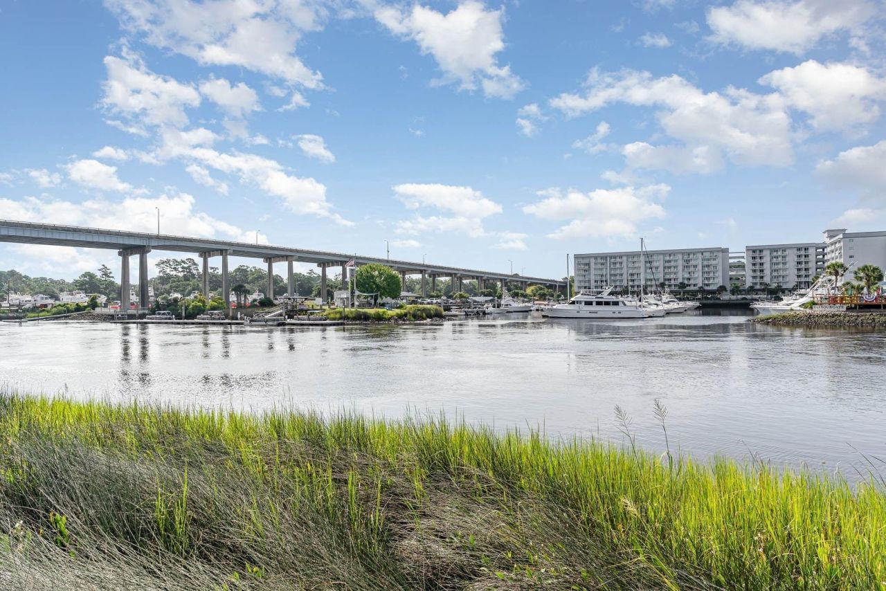 244 Gloucester Way Photo 43