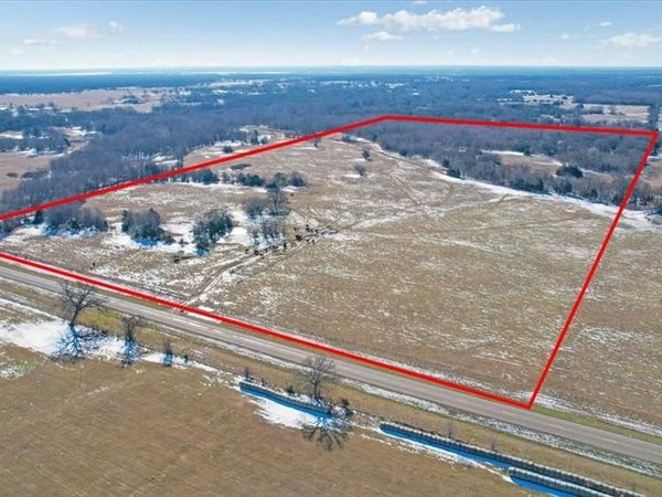 TBD 42.972 Acres FM-1396 Road, Ivanhoe, TX 75447