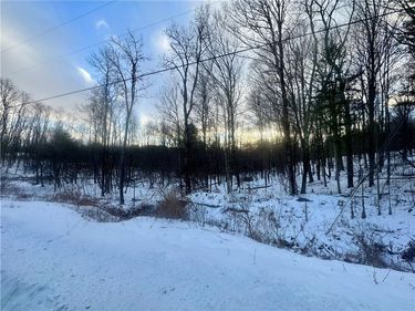 100 Balantic Hill Road, Laurens, NY 13796