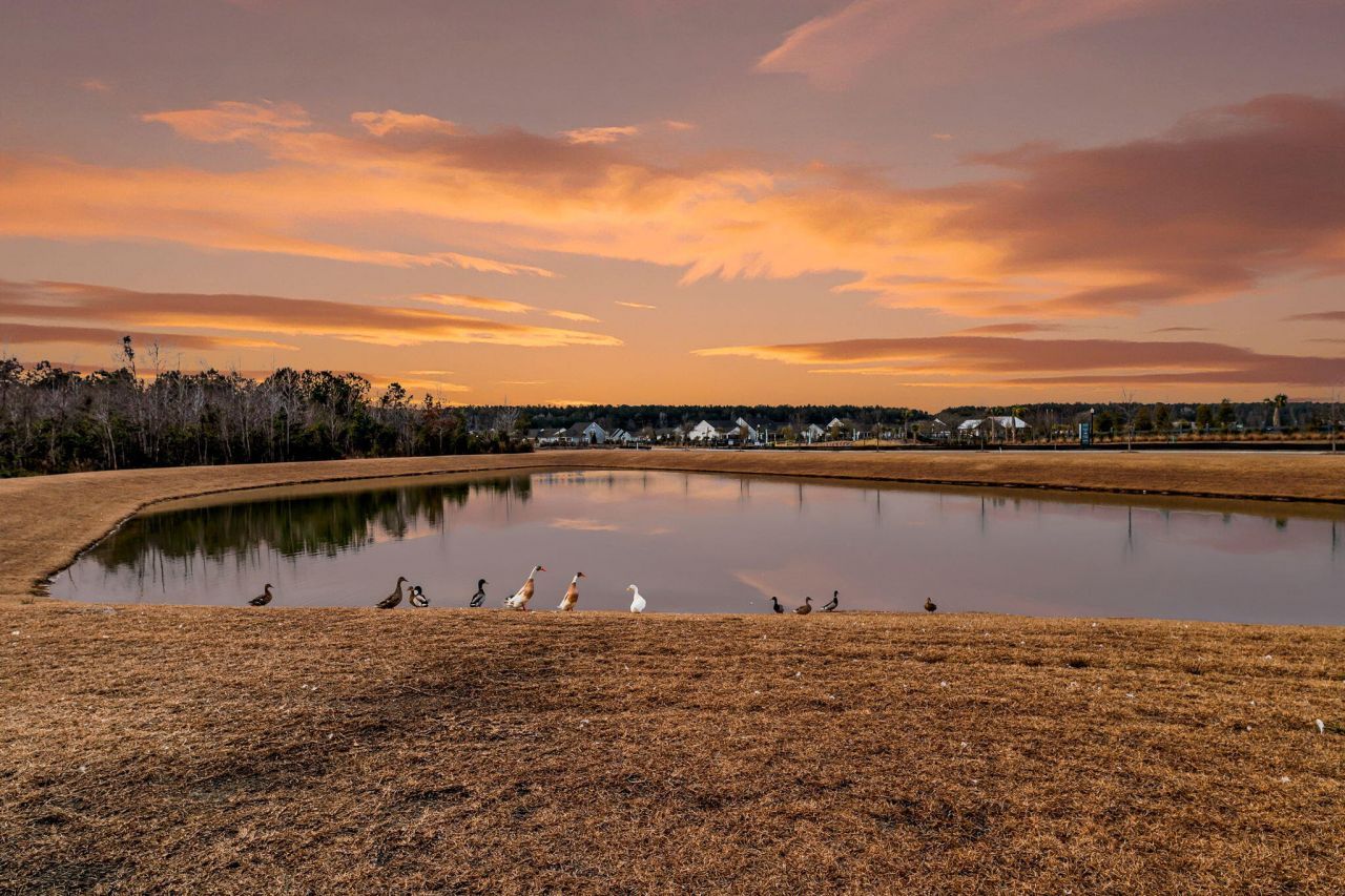 268 Witherspoon Street Photo 50