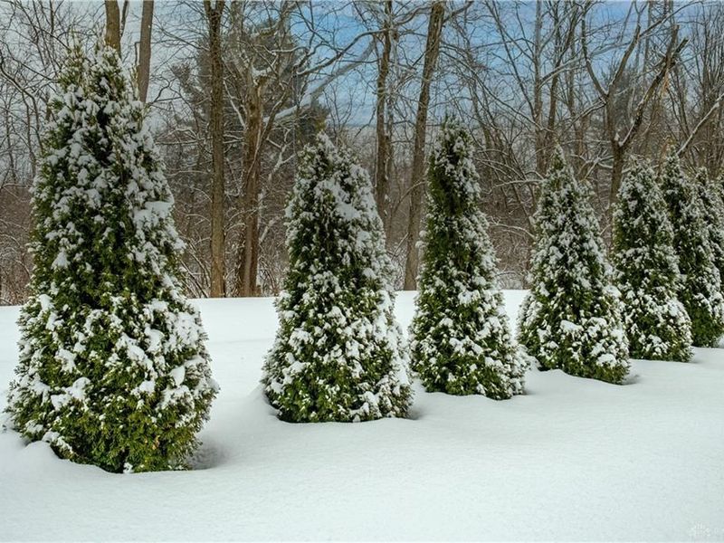 2884 Locke Drive, Beavercreek, OH 45431 Photo 70