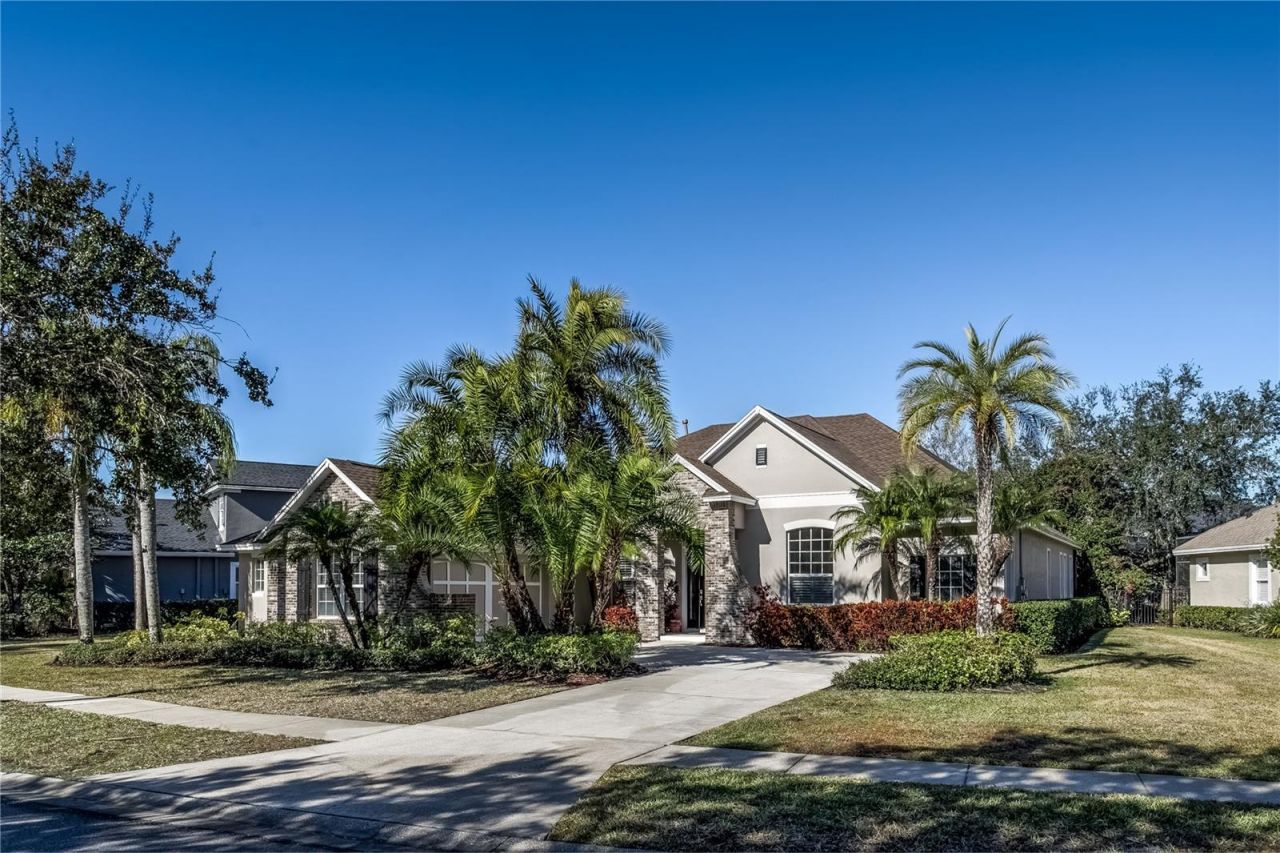 11909 Mandevilla Court, Tampa, FL 33626 Photo