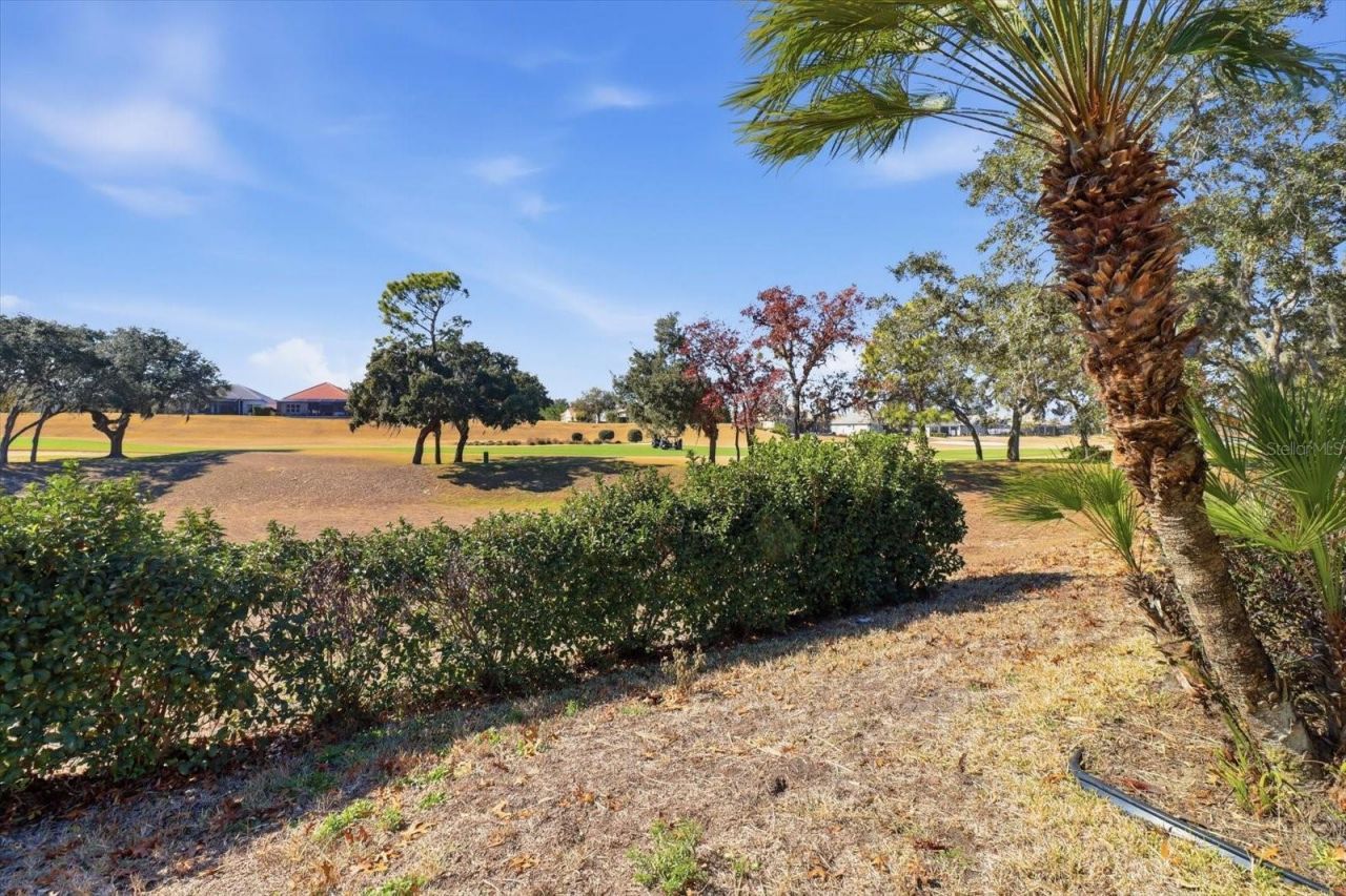 1959 N Eagle Chase Drive, Hernando, FL 34442 Photo