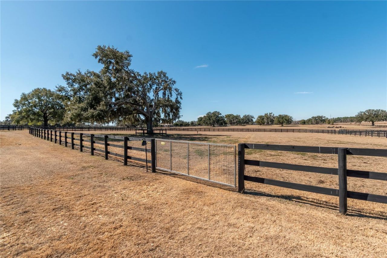 12610 NW Gainesville Road, Reddick, FL 32686 Photo