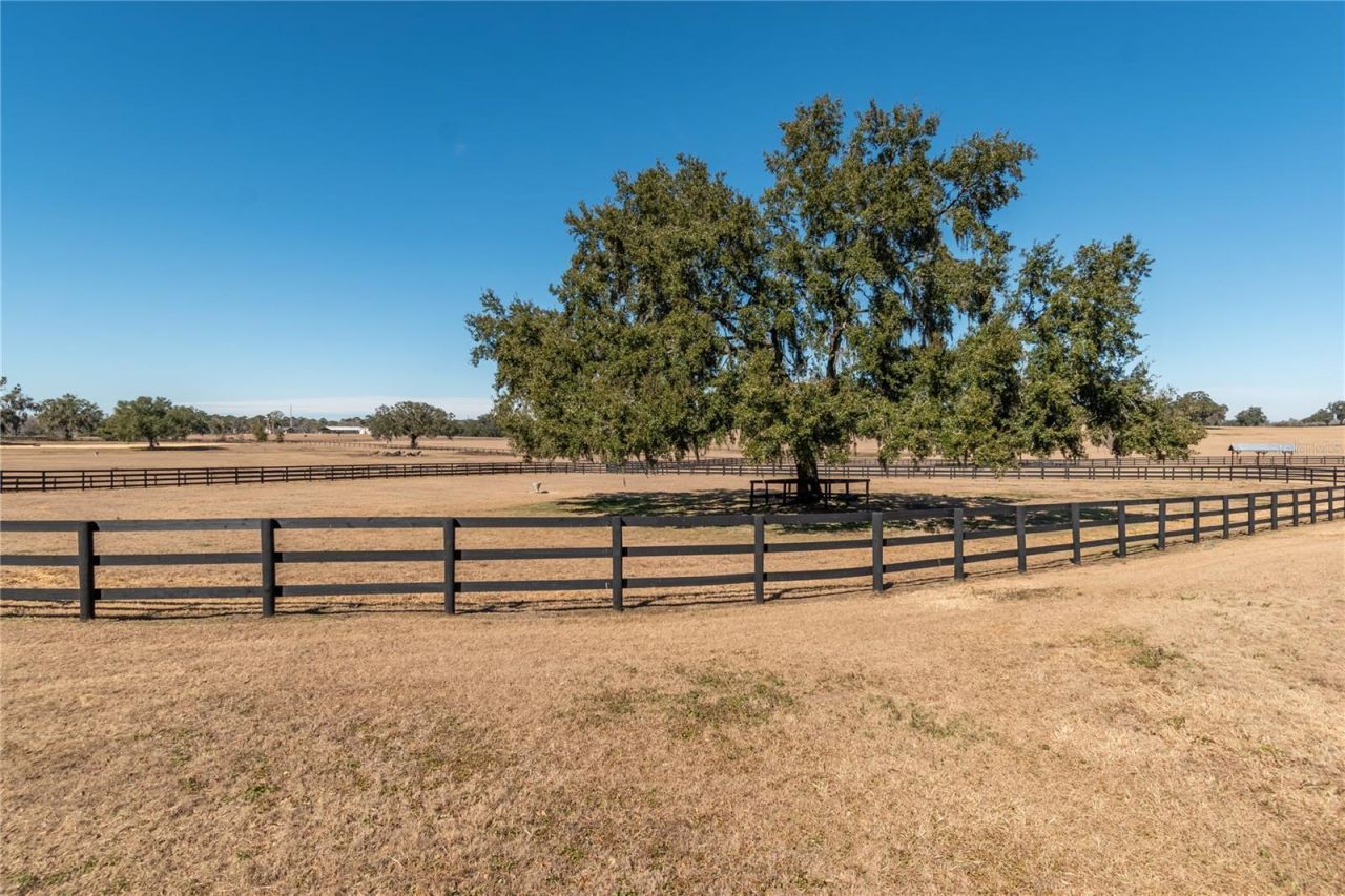 12610 NW Gainesville Road, Reddick, FL 32686 Photo