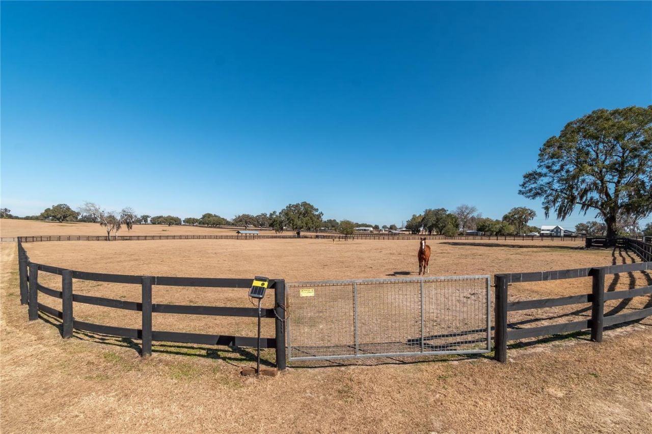 12610 NW Gainesville Road, Reddick, FL 32686 Photo