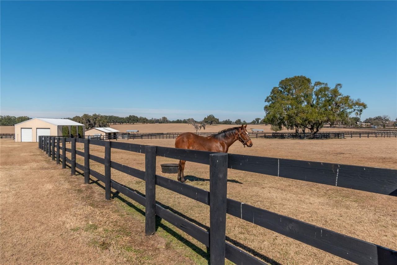 12610 NW Gainesville Road, Reddick, FL 32686 Photo