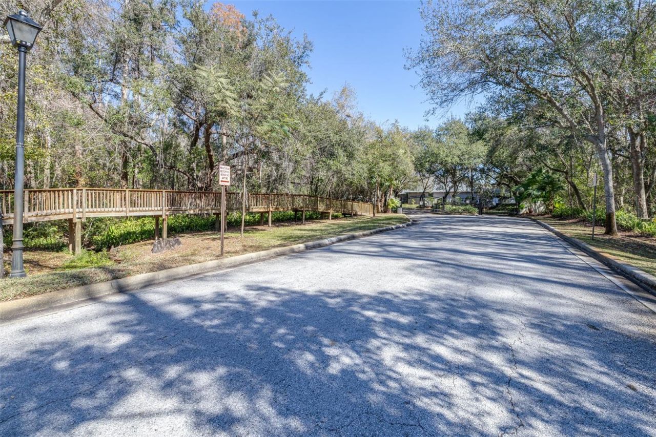 6126 Native Woods Drive, Tampa, FL 33625 Photo