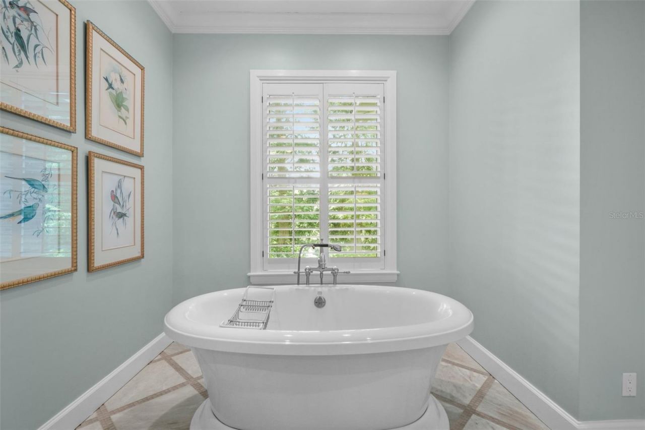 16203 Villarreal De Avila, Tampa, FL 33613 Photo