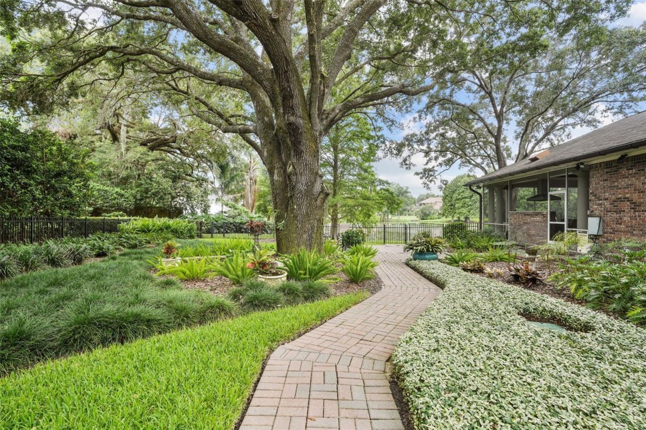 16203 Villarreal De Avila, Tampa, FL 33613 Photo