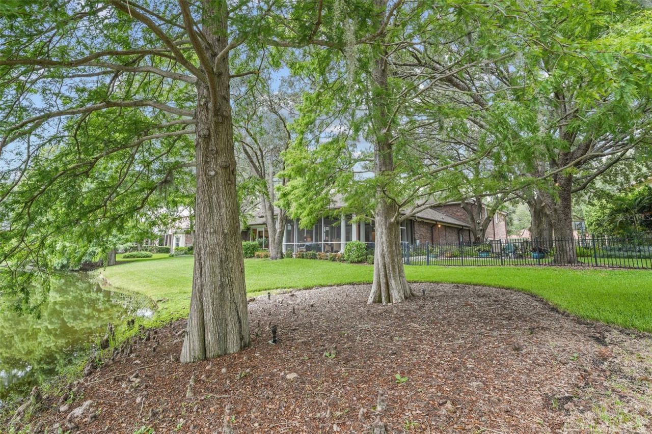 16203 Villarreal De Avila, Tampa, FL 33613 Photo