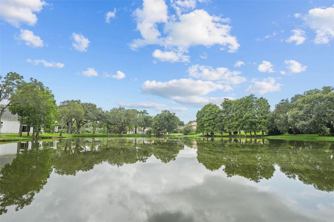 16203 Villarreal De Avila, Tampa, FL 33613 Photo