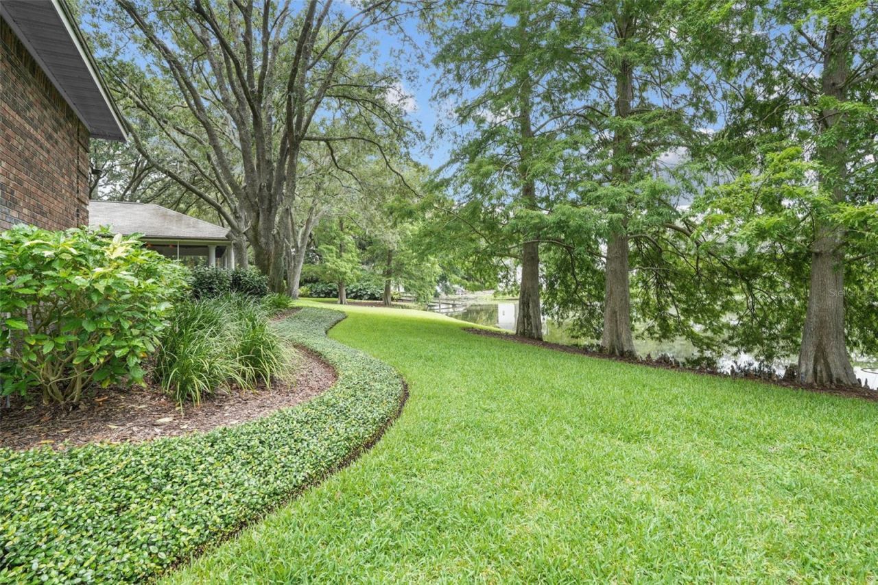 16203 Villarreal De Avila, Tampa, FL 33613 Photo