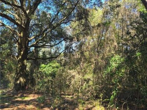 10086 Old Highway 43, Creola, AL 36525