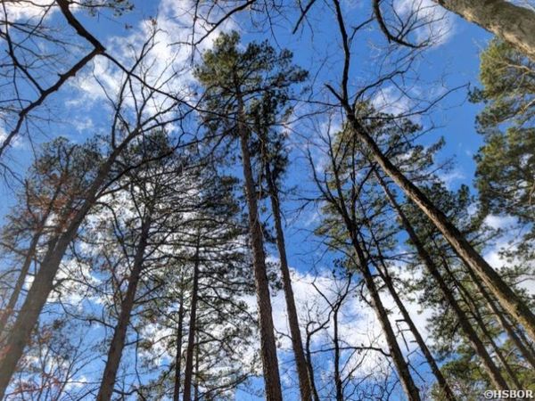 TBD VALENCIA Lane, Hot Springs Village, AR 71909